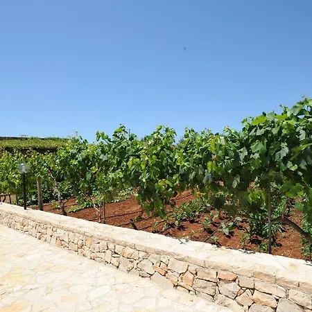 فيلة Trullo Elios Torre Pali
